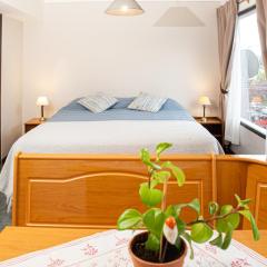 Departamento centrico