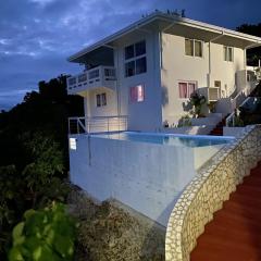 April Villa - Luxury 2 Bed, 2 Bath Apartment with Panoramic Ocean Views, Peaceful, Private Beach