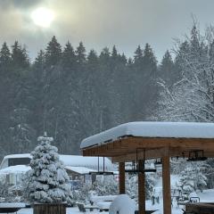 Rooms Hotel Kokhta Apartments