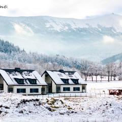 Wonder Home - Domek Sielsko Czarodziejsko blisko Karpacza, z kominkiem, z widokiem na góry i tarasem