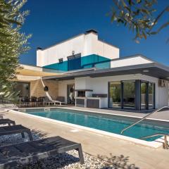 Modern villa zara with pool in Visnjan