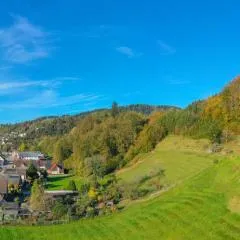 Ferienwohnungen im Herzen des Renchtals