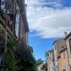 Charmante maison de village à Argelès-sur-Mer proche commodités - FR-1-732-92