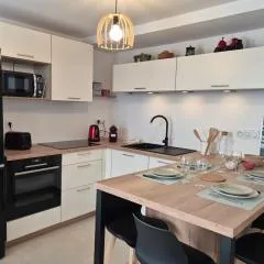 Magnifique appartement vue mont blanc