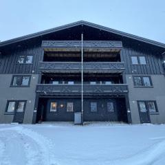 Spacious apartment near Hemsedal ski resort
