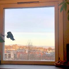 Cozy home away from home