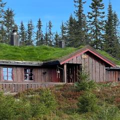 Nice Home In Sjusjøen With Sauna
