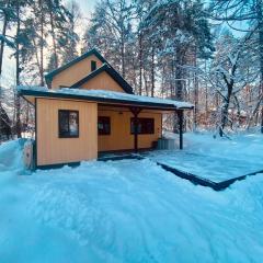 Kozi Cabin