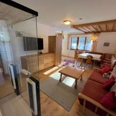 Sonnleitn AlpinWell Appartment (Ski in&out + Wellness)