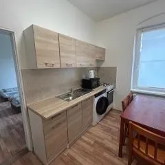 Apartmán v Karlových Varech pro 4 osoby