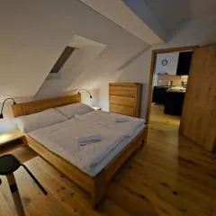 Benecko moderní apartmán A30 by AlkaTravel