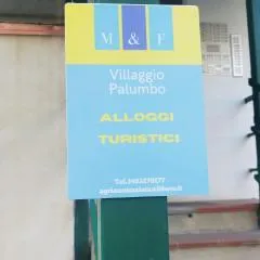 Agrifoglio