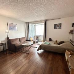 STUDIO CLIMATISE Le Flot Bleu proche Plages, aéroport, Centre formations, Cap 3000, CERFPA