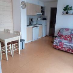 Appartement Les chalets de Puy-St-Vincent 1700