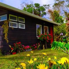Finca La Picuda Quetzal Cottage