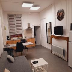 Grand studio au calme - Dijon centre
