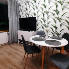 Palmowy Zakątek 2 pokoje dla rodziny Apartament Deluxe