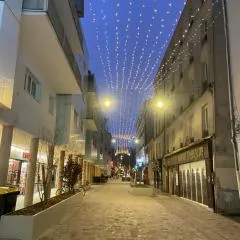 Les Marais