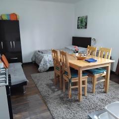 Nice studio in historic center with private bathroom and kitchen!