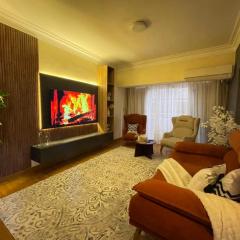 Lovely new apartment Zamalek