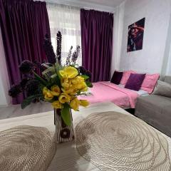 1 комнатная студия, около ТРЦ Мега