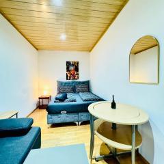 Cozy 4BR Apartment for up to 12People, 10 Minutes to FAC Platz