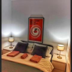 Apartman Fonte Vrnjačka Banja