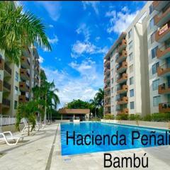 Hacienda Peñalisa Bambu Girardot-Ricaurte