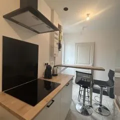 Appartement Centre ville