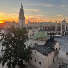 Queen's apartment from the 14th century - 130 m2 AC
