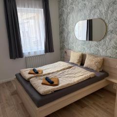 Nature Vibes Premium Central Apartment with Rooftop