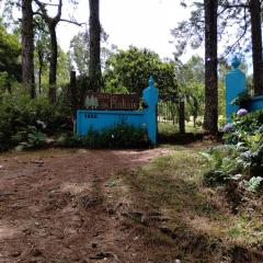 Sitio dos pinhais