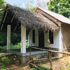 Sigiriya Coconut Shade Resort