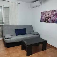 Green Home 160