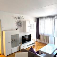 Apartman Borik