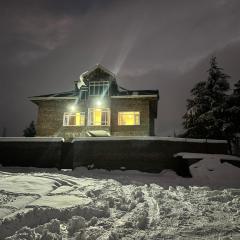 The Himalayan Nest
