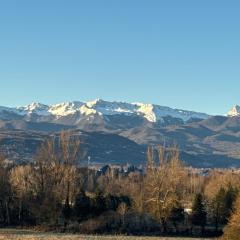 Attico - Terrazza su Castello
