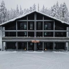 Villa Aspen D Ski-in Ski-out by Aavalevi