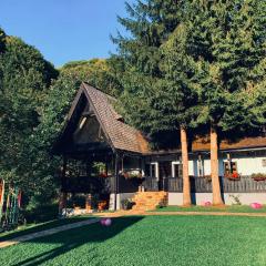 Căsuța cu doi brazi