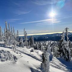 Apartments bei Familie Liebl
