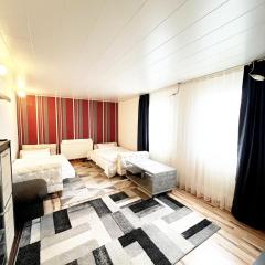 Wiesbaden Mainz kleines Haus mit Garten Grill