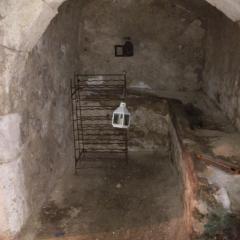 LES PETITS CHATOUILLERs