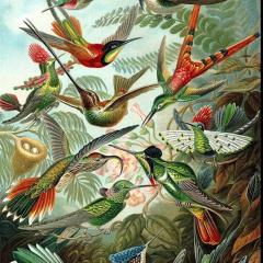 New cozy Villa near the sea!