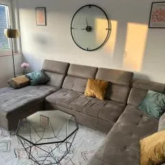 Vaste appartement avec parking gratuit, borne dispo et espace de travail