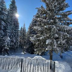 Harmony Peak Jahorina