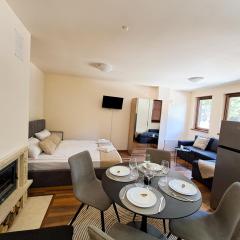 Студио Алтом