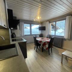 GROTTE AUX FEES D, appartement 6 pers, skis aux pieds
