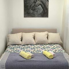 Planinska kuća Vladanka - planina Goč - banjska strana - preko puta ski staze