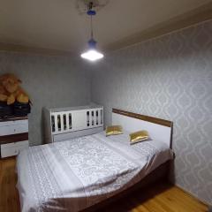 Entire rental unit in Baku, Whole Apartment 85m2
