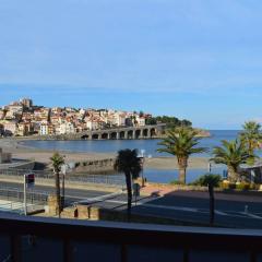 Appartement 3 pièces BANYULS SUR MER BN020-028